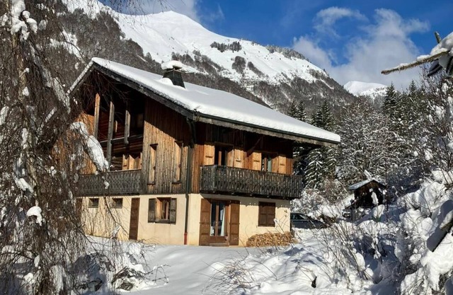 Cosy apartment in the heart of Montriond Village