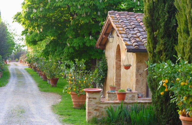Cosy apartment in villa with pool, WIFI, TV, patio and panoramic view, close to San Gimignano