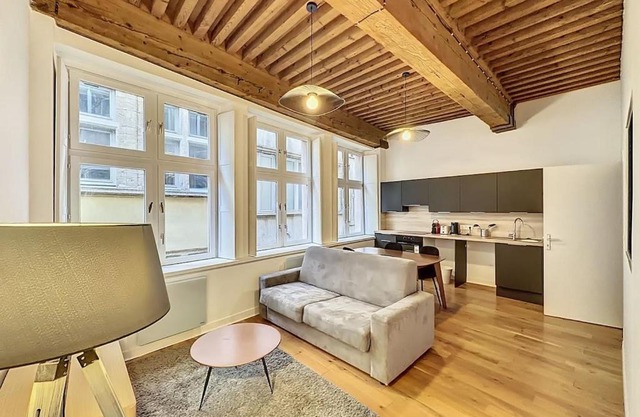 Cosy appt cœur de Lyon du Bœuf 3