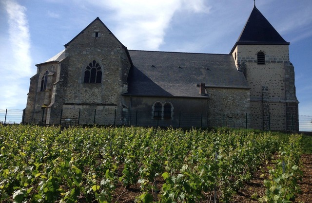 cottage in the middle of Champagne vineyards