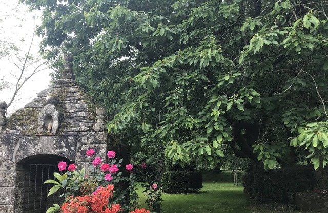 Cottage in the countryside with large green area!