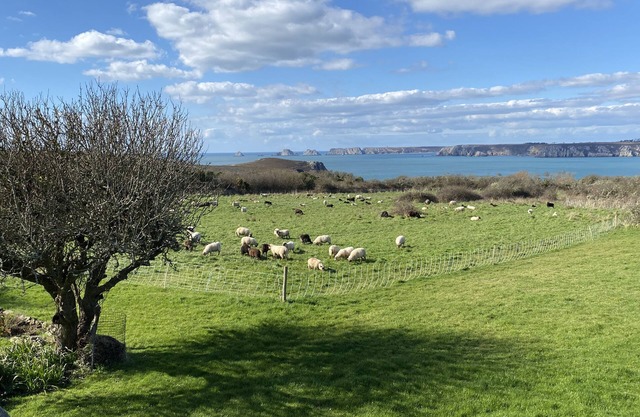 Cottage Kergonan with a beautiful sea view (Crozon, Brittany)