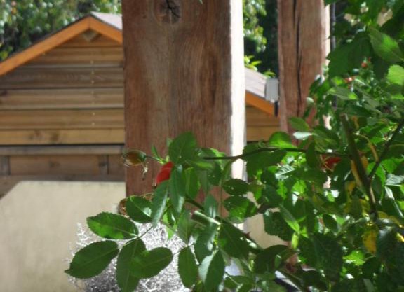 Cottage Prairie Bonheur