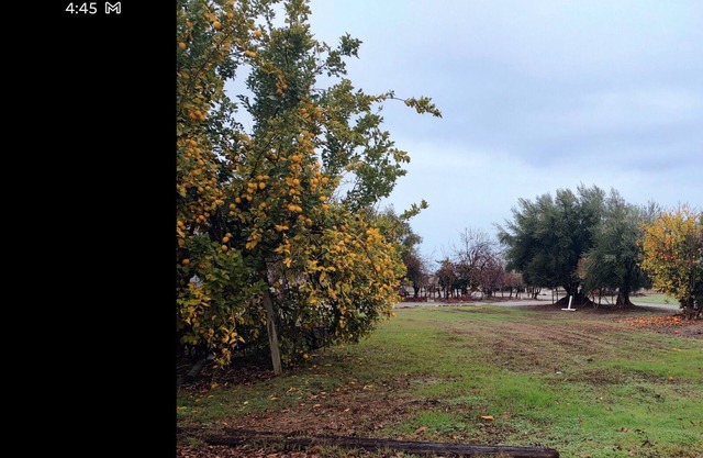 Countryside Clovis