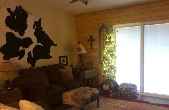 Cowhide Creek Cabin with WiFi and A/C