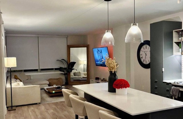 Cozy and Modern 1-bedroom spacious apartment in national landings Arlington VA