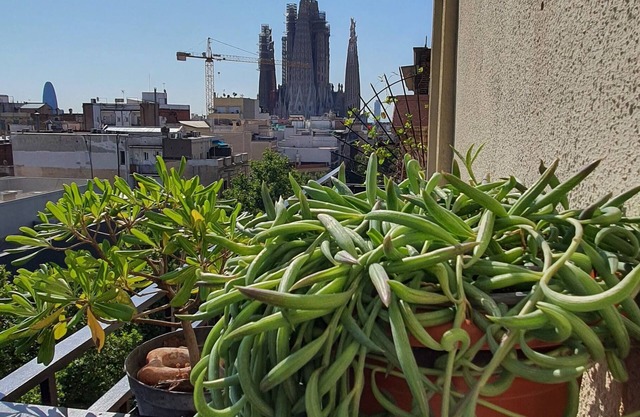 Cozy appartment & Sky view Sagrada Familia