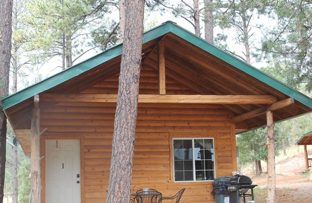 Cozy Clean Cabin next to Lincoln National Forest.