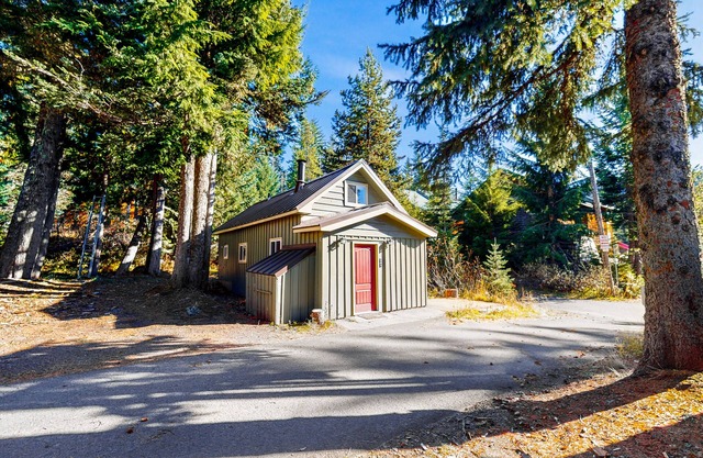Cozy, comfortable cottage in Government Camp