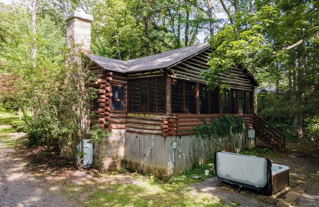 Cozy Dog Friendly Cabin w/Hot Tub & Lake Access