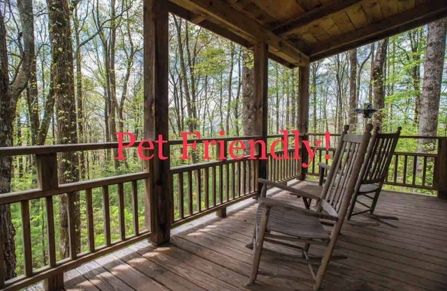 Cozy Guest Cabin Pet Friendly Secluded Peaceful