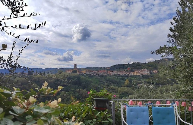 Cozy house among olive trees in the Tuscan hills