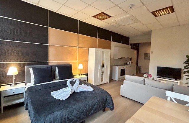 Cozy independent Studio S2, City Centre Dordrecht