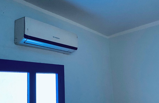 Cozy private Apartment in asyut