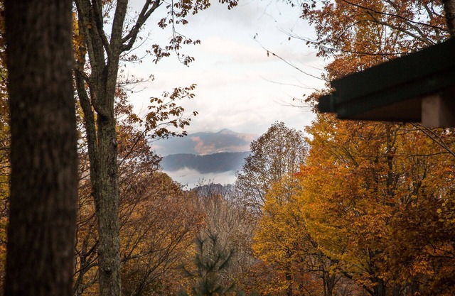 Cozy Renovated Mountain Escape, 10 min to downtown Waynesville & Lake Junaluska,