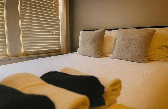 Cozy Studio in Portage Park