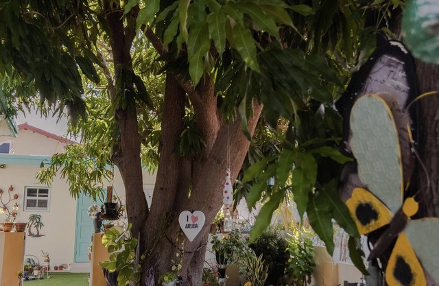 Cozy studio in the heart of Malmok Aruba