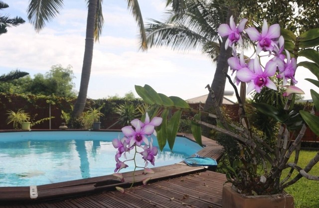Cozy villa in a tropical garden 10 minutes from the western beaches