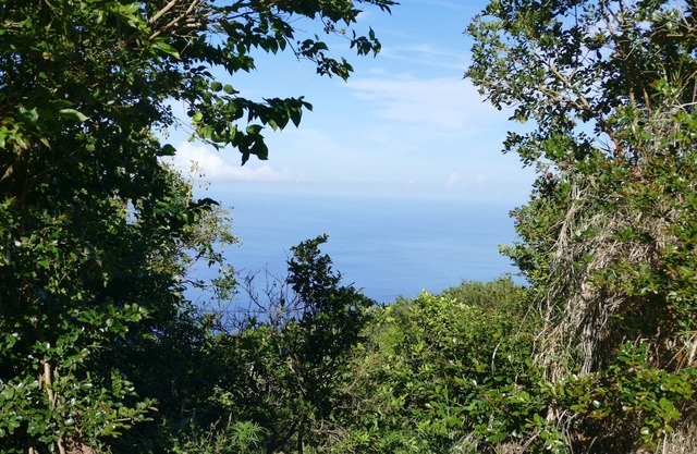 Creole box in the top of the island in the countryside with sea view
