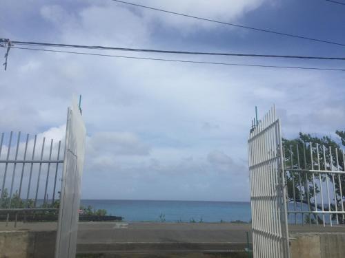 Cristina Reeves Kelly