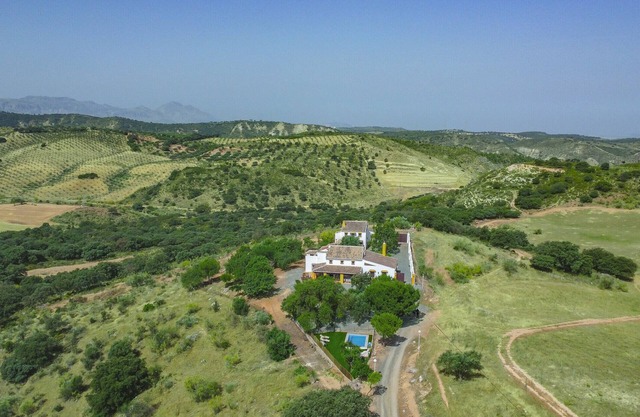 Cubo's Cortijo El Perezon/rural/private pool/air conditioning