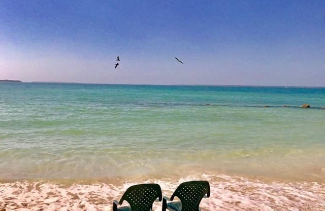 Curious Island for the whole family¡