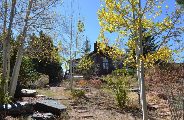 Custom built Estes Park Home! Family friendly and room for everyone!