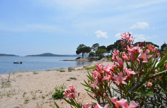 Duplex for 5 people, 500m from the beach in a residence with swimming pool