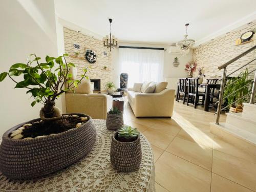 D & J Luxury House