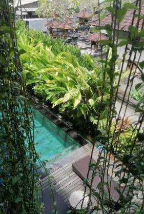 D'tegal Guest House-Pool&Fast WiFi near Canggu Beach