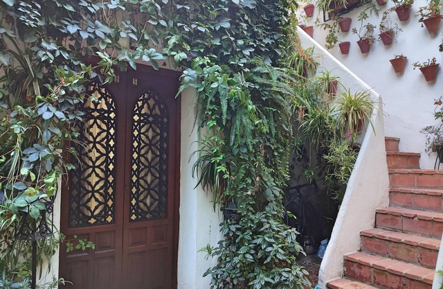 Dama de Noche Apartament