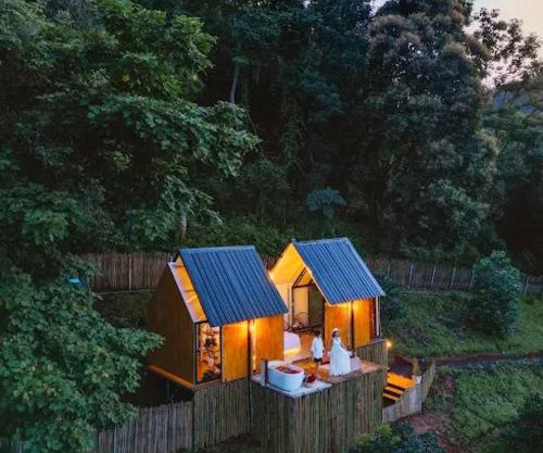 Dandelion Cabin