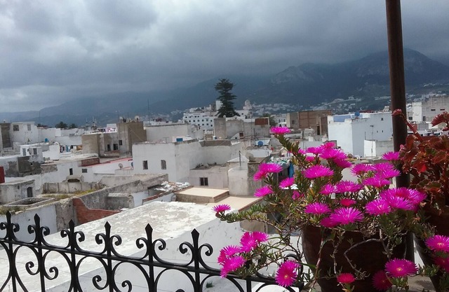 Dar Rehla