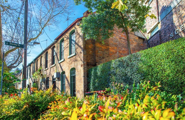Darling-of-Darlinghurst - Home with charm & History