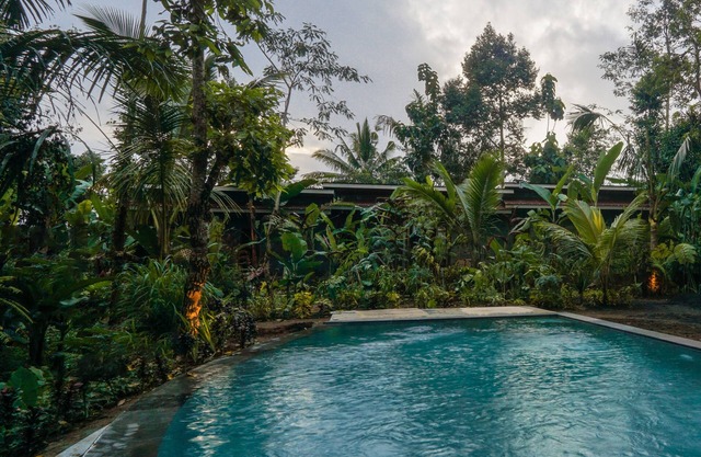 Daydream Lodge