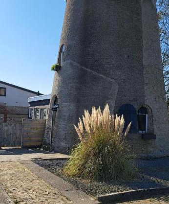 De goede verwachting