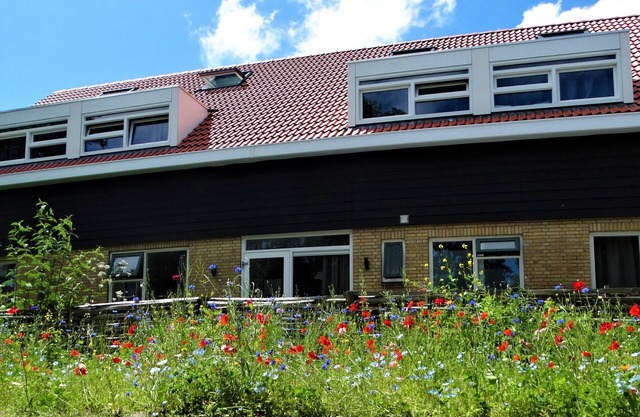 De Vlindertuin Ameland