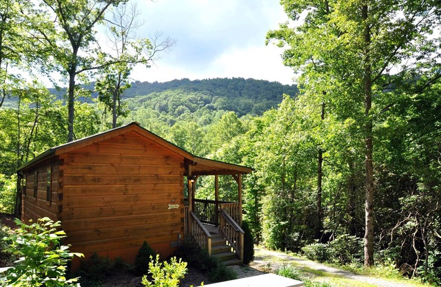 Deer Run | Wooded Cabin w/Fire Pit, Porch Views + Biltmore Pass