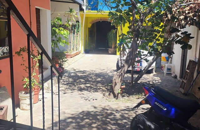 Department Ceiba downtown