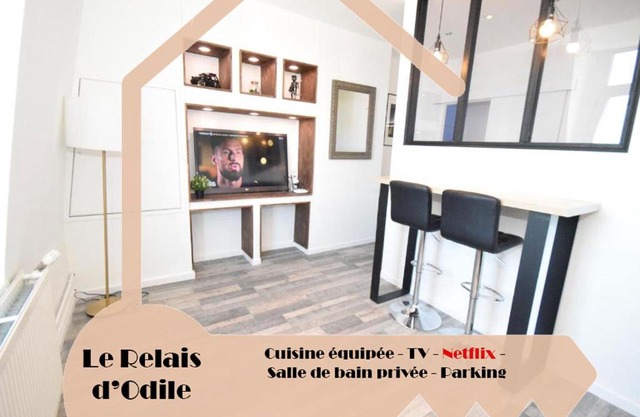 DESIGN APPART - HYPER CENTRE - TRAM - FREE WIFI - leRelaisdOdile21