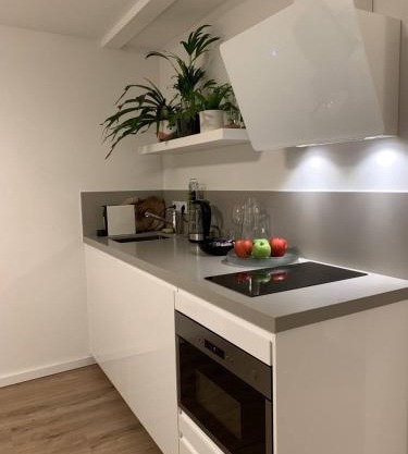 Designer Loft Apartment in Delft city new 38B