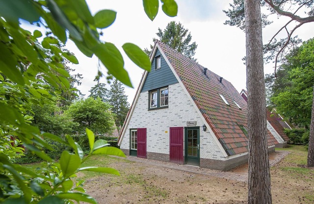 Detached holiday home with steam shower near Vrachelse Heide
