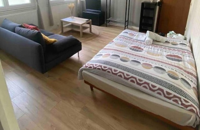 Dijon - Large studio near Parc Darcy & train station