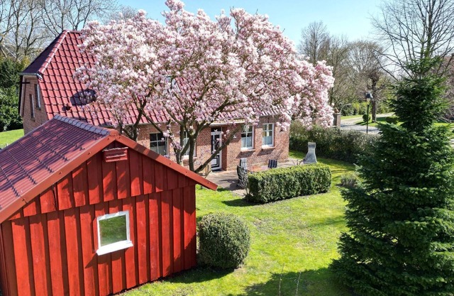 Disabled-friendly holiday flat with garden