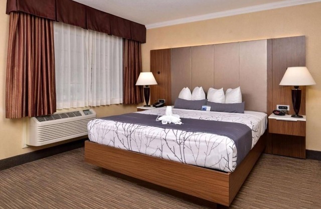 Discover Hollywood Bliss from This Cozy Room Near Local Landmarks