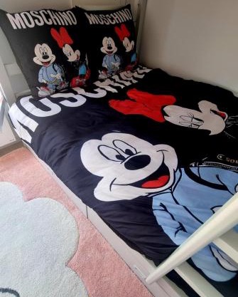 Disney Luxury Studio