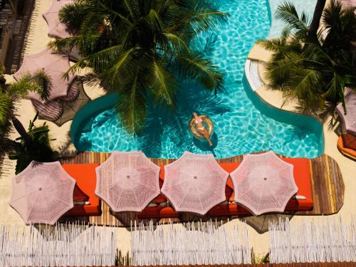 Divino Gili Air