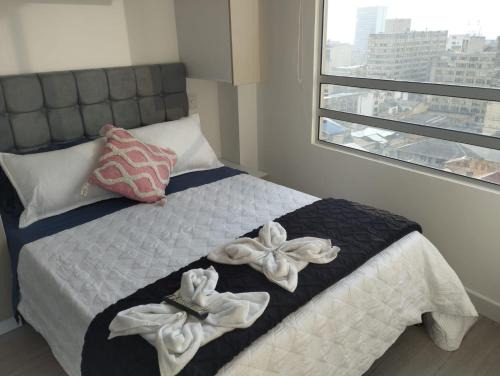 Doble vista Panoramica, Bogotá de lujo