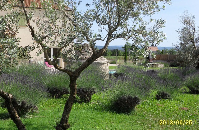 Domain of Bouteille en Luberon