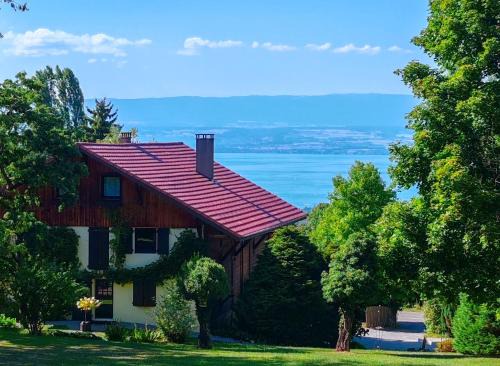 Domaine de l'Olifant